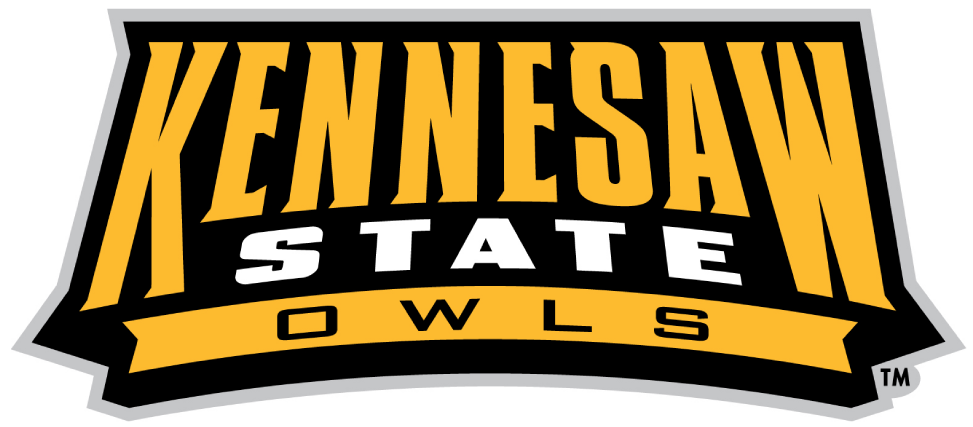 Kennesaw State Owls 2012-Pres Wordmark Logo v2 iron on transfers for fabric